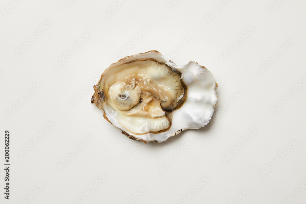 Open fresh oyster clam isolated on white Open fresh oyster clam isolated on white