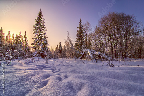 Obraz na płótnie Winter landscape with sunset in forest w salonie
