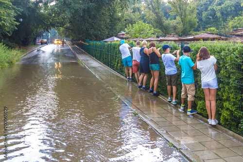 Flooding after heavy rain, tourists bypass puddle along edge of sidewalk, following each other in row, holding onto fence, Bulgaria, Golden Sands.