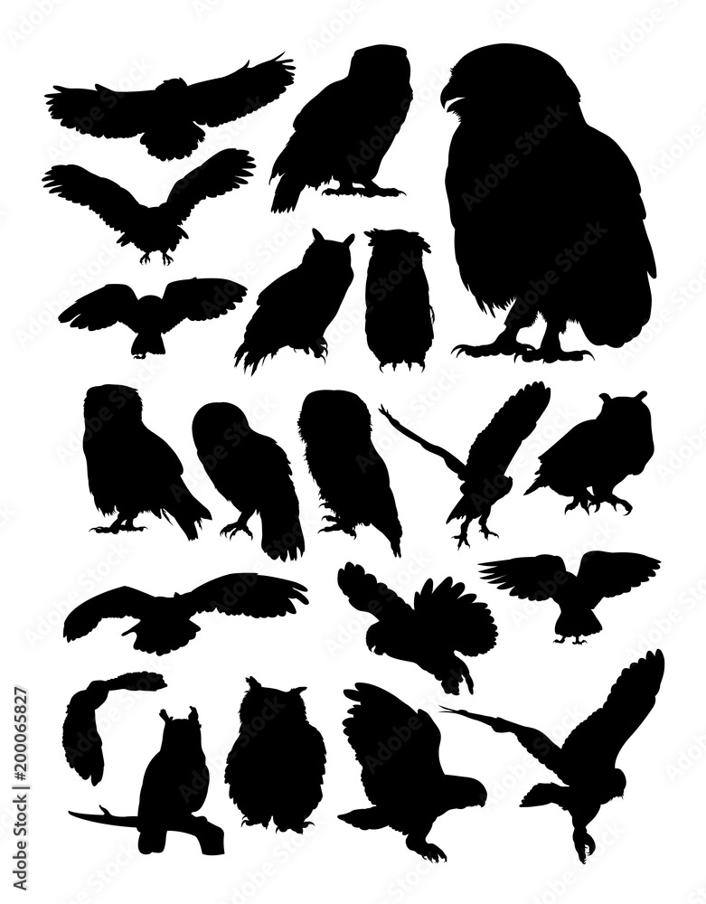 Fototapeta premium Owl animal detail silhouette. Vector, illustration. Good use for symbol, logo, web icon, mascot, sign, or any design you want.