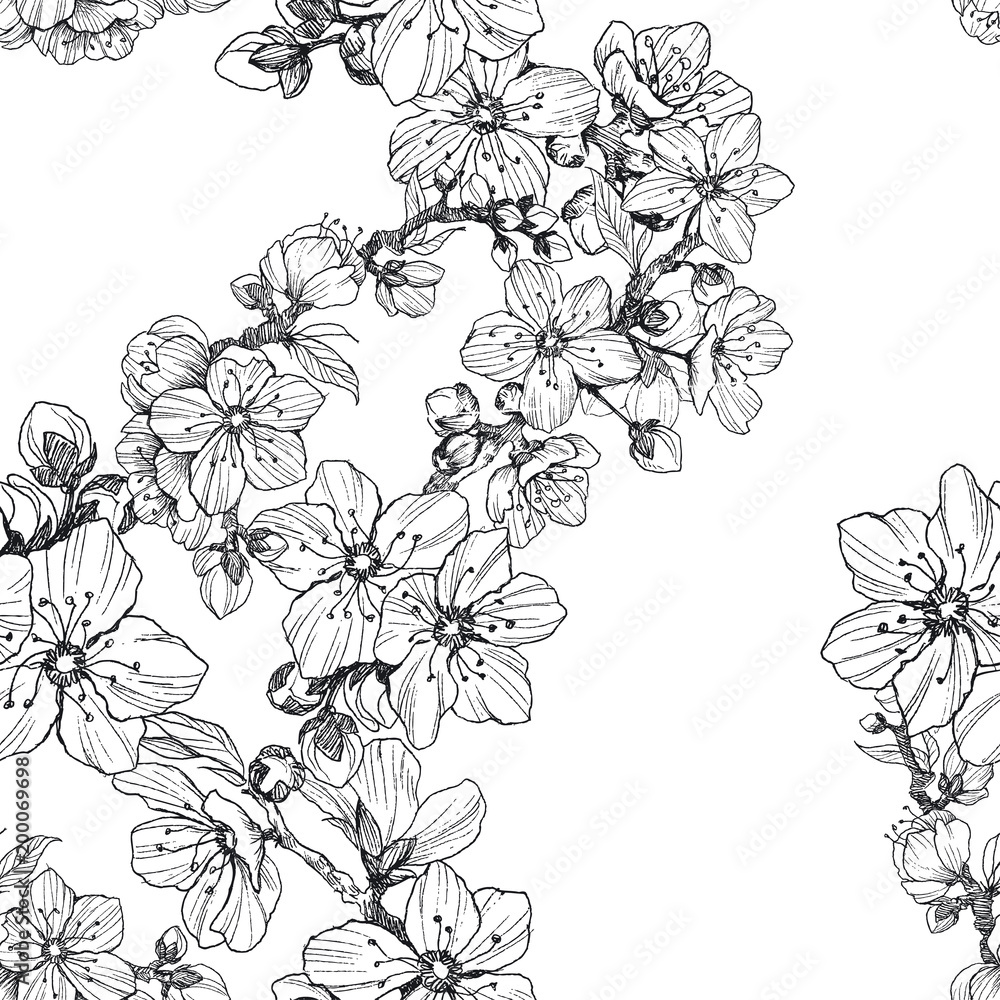 Fototapeta premium Seamless pattern. Almond blossom branches. Vintage botanical hand drawn illustration. Spring flowers of apple or cherry tree.