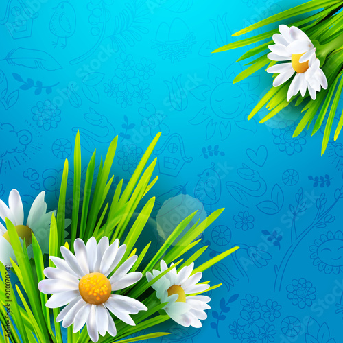 Realistic Green grass on fresh blue background with realistic chamomiles. Flowers banner with hand drawn doodle pattern. Vector illustration. Place for text