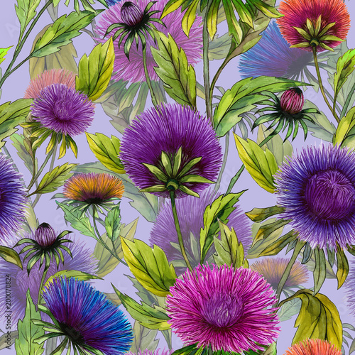 Beautiful aster flowers in different bright colors with green leaves on light...