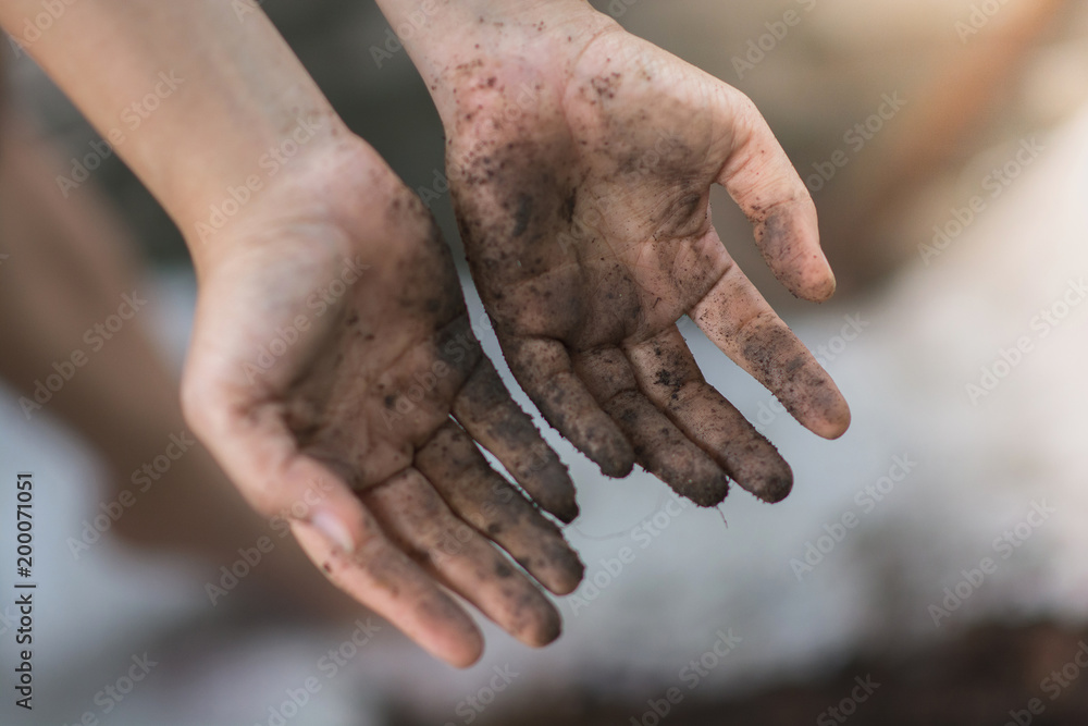 Soil in farmer hands is formed by weathering and includes organic matter from decayed plants. loose mineral provides a medium in which plants can grow, supporting their roots Soil in farmer hands is formed by weathering and includes organic matter from decayed plants. loose mineral provides a medium in which plants can grow, supporting their roots