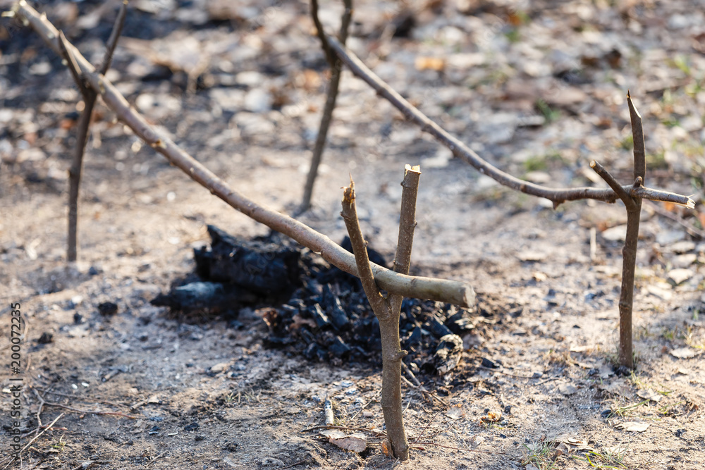 Firewood in the forest on earth burn. Fireplace for barbecue. Shish kebabs. View from above. Firewood in the forest on earth burn. Fireplace for barbecue. Shish kebabs. View from above.