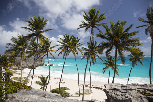 Fototapeta Naklejka Na Ścianę i Meble -  Summer vacations. Palm trees. Turquoise water. Exotic plants. Sunny blue sky. Beautiful white-sand beach. Travel agency background.