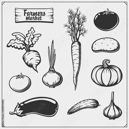 Vector set of vegetables isolated on white background. Farmers market icons.