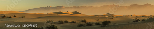 Desert morning