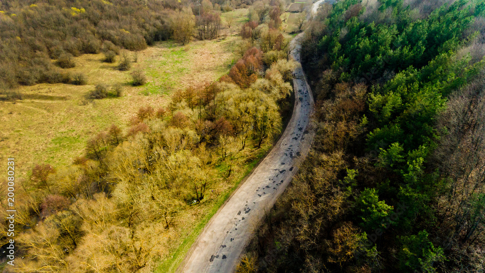 Asphalt road through the forest. Aerial view.
