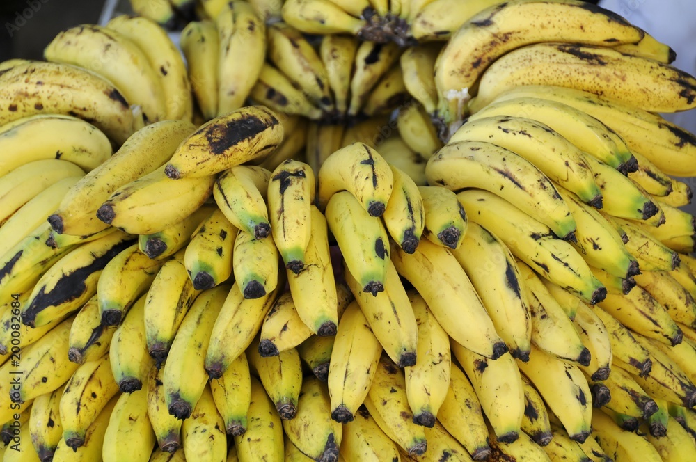 Bananen aufgeschichtet zum Verkauf, Straßenhändler, Leon, Nicaragua, Zentralamerika, Mittelamerika