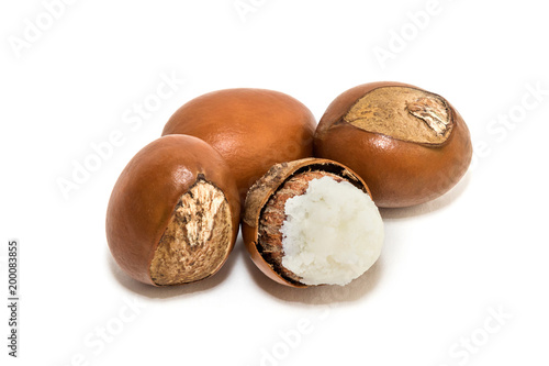 Shea nuts. Vitellaria paradoxa