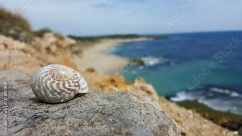 Coquillage effet bokeh plage couleurs