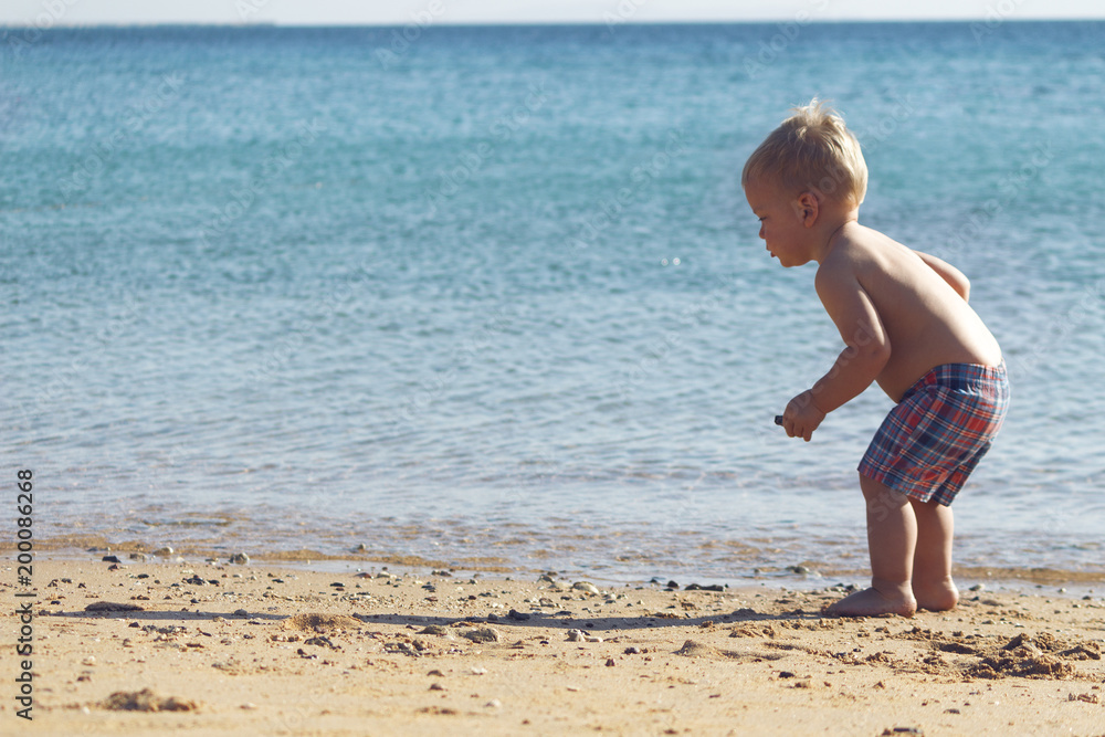two years blonde baby picking, collecting, playing and counting sea shells in hand at golden sand beach sea shore two years blonde baby picking, collecting, playing and counting sea shells in hand at golden sand beach sea shore