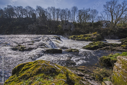 The Cenarth Falls, River Teify, Wales, UK
