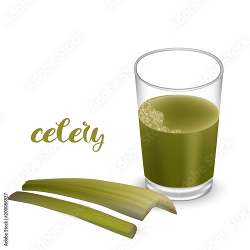 Green stalks of celery and a glass of herbal juice. Vector.