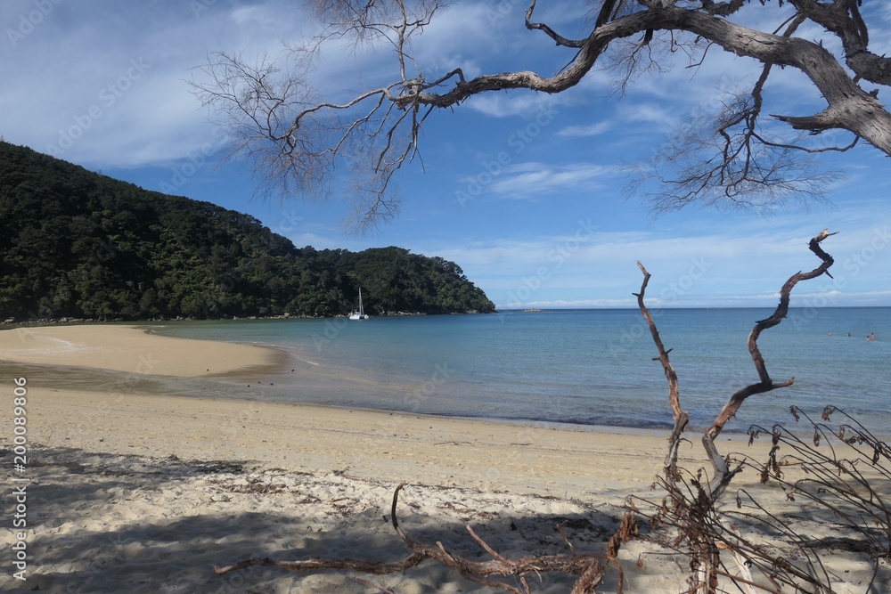 Natur, Neuseeland, Abel Tasman - IMG_0289. Natur, Neuseeland, Abel Tasman - IMG_0289.