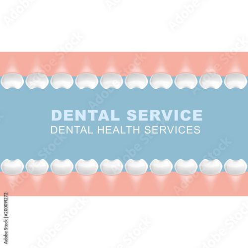 Dental poster with frame of molars - row of teeth photo