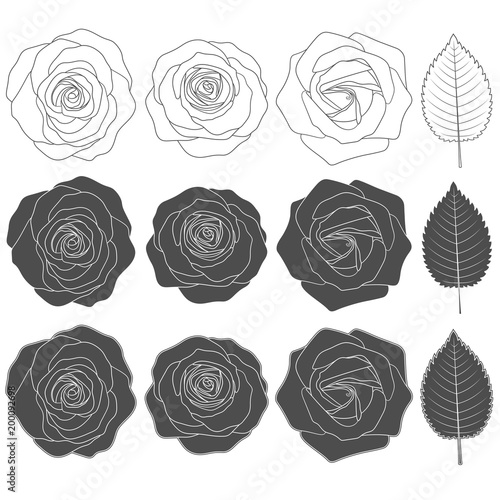 Set of black and white illustrations with roses. Isolated vector objects on white background.