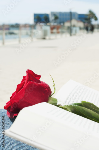 red rose and book for Saint George Day