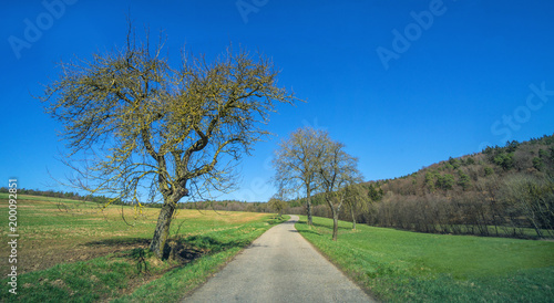 Landscape view to the rural countryside in spring