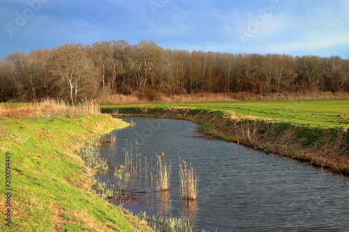 Fototapeta Naklejka Na Ścianę i Meble -  Little river with beautiful sky and green grass along the coast in early spring