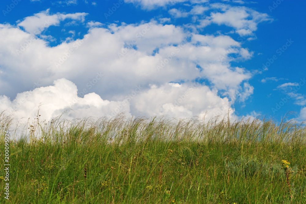 Green grass under blue sky with clouds. Rural landscape. Natural environment picture. Rough grassland. Green grass under blue sky with clouds. Rural landscape. Natural environment picture. Rough grassland.