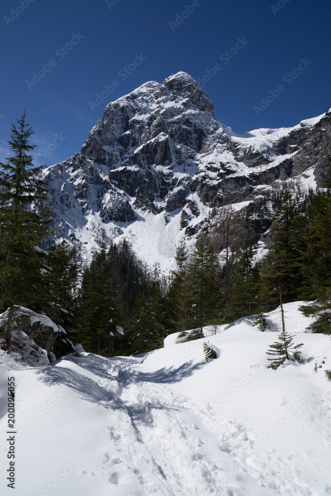Fototapeta premium Mountains in winter