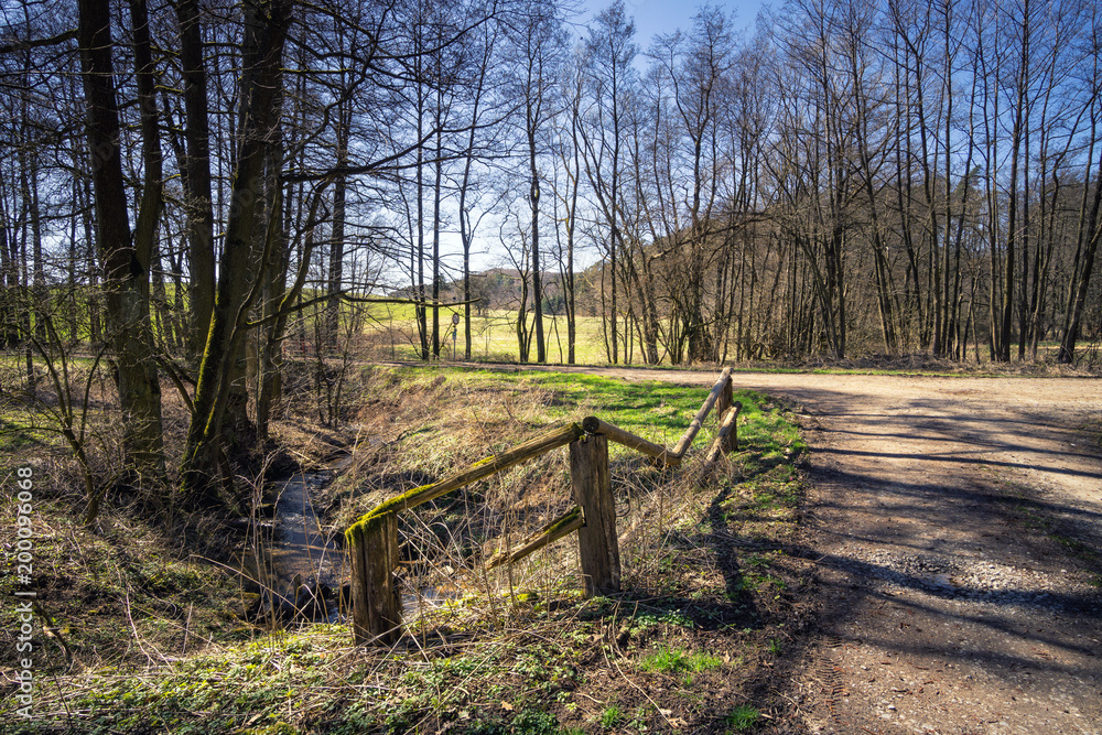 Fototapeta premium Forest view to the rural countryside in spring