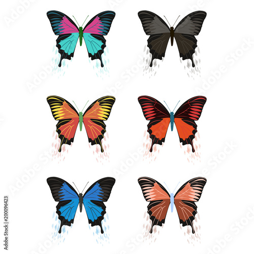 Vector butterflies on a white background. © marie_tatiant