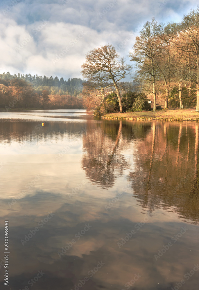Obraz premium Shearwater - Lake near Warminster - Wiltshire- UK
