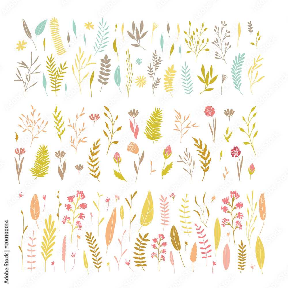 Vector floral set. Vector floral set.