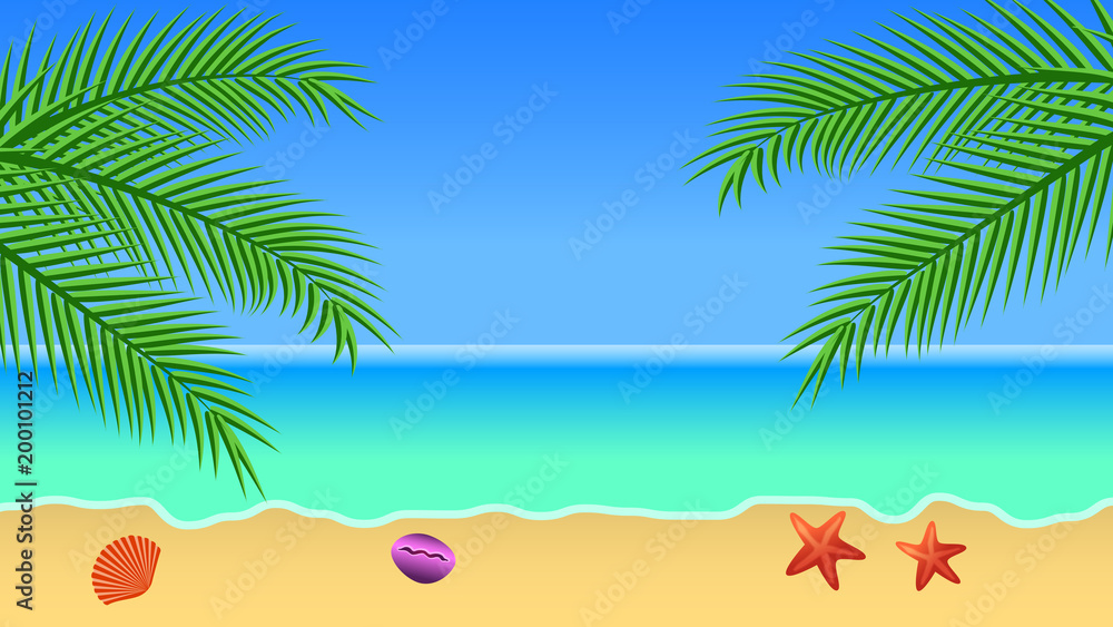 Sea background with sea, palm trees, sand, sky, starfish and seashells