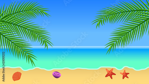 Sea background with sea  palm trees  sand  sky  starfish and seashells