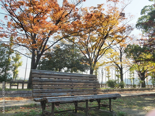 茶色に染まる木の下のベンチ © akatuki397