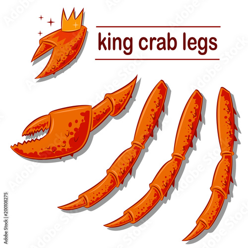 King crab legs and claws. Vector cartoon illustration of sea delicacies isolated on white background.