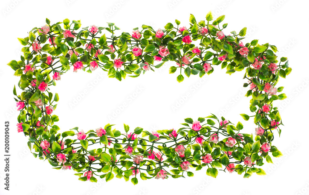 frame from flowers on a white background
