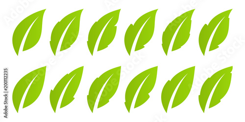 Bild auf Leinwand Green leaf set. Eco
