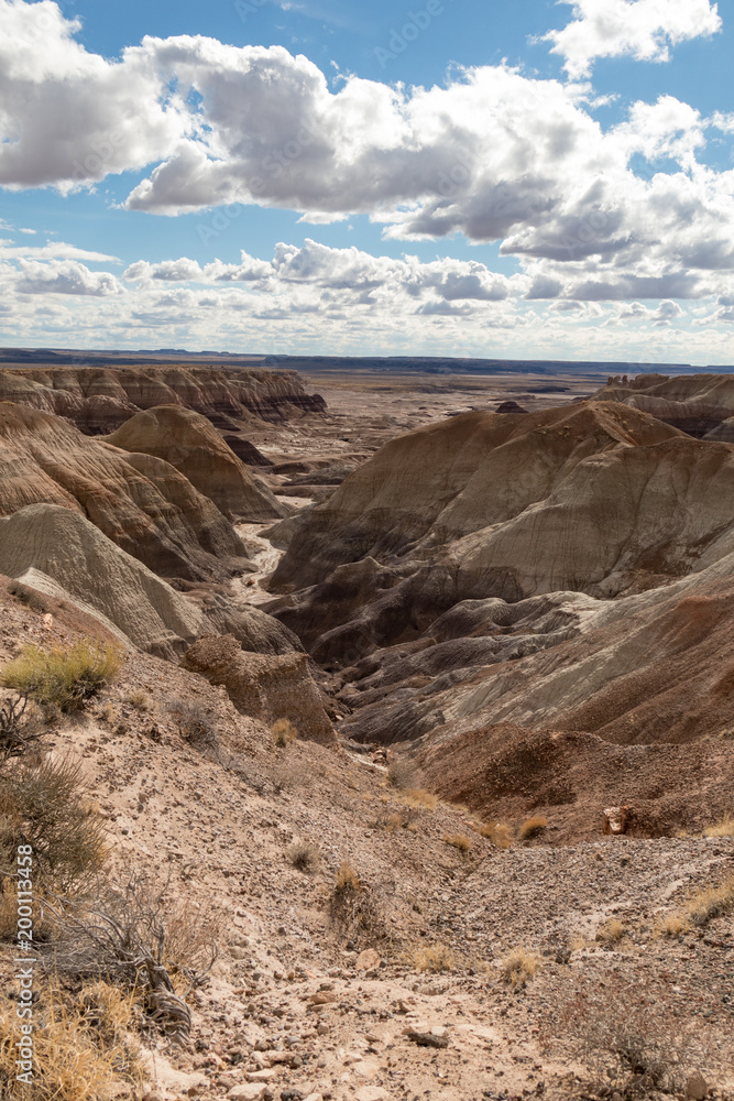 Painted Desert at Petrified Forest National Park with cloudy skies in background