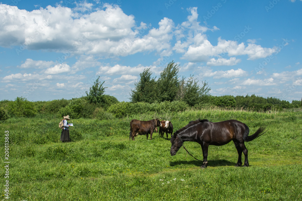 animals on pasture with a shepherd animals on pasture with a shepherd