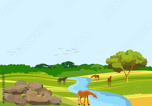 Wild nature countryside vector concept view, horses at river bank, livestock, trees and nature