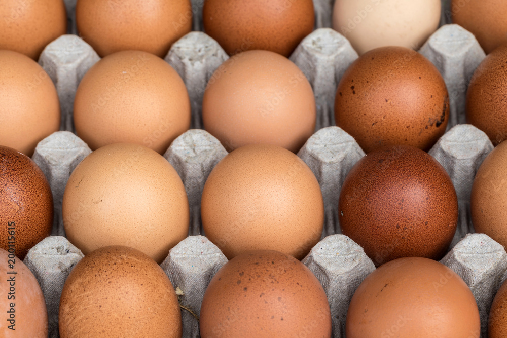 Palette d'œufs de poule provenant de la ferme Palette d'œufs de poule provenant de la ferme