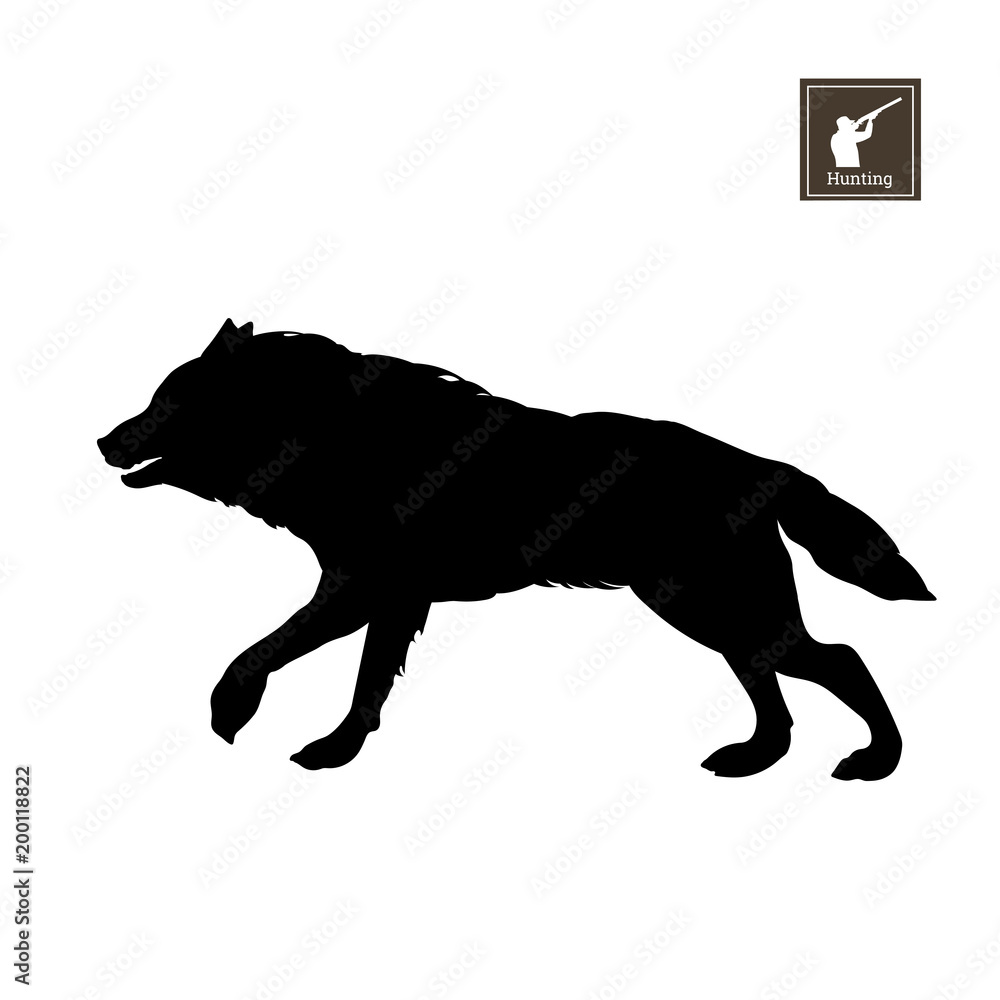 Naklejka premium Black silhouette of running wolf on white background. Forest animals. Detailed isolated image. Vector illustration