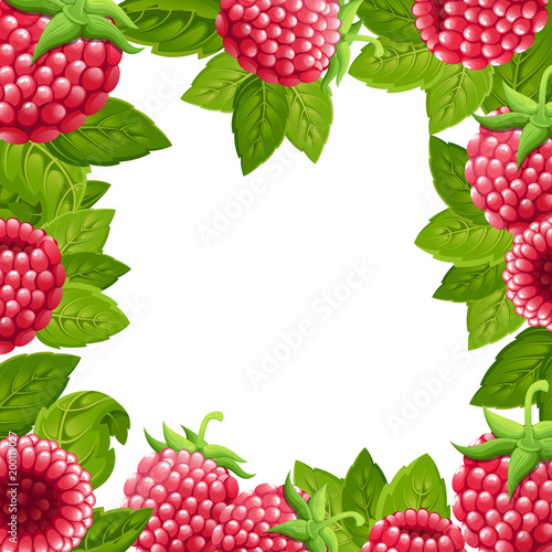 Pattern of raspberry. Vector illustration of raspberry with green leaves. Vector illustration for decorative poster, emblem natural product, farmers market. Website page and mobile app design