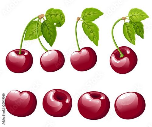 Cherry berry collection. Vector illustration of cherry with green leaves. Vector illustration for decorative poster, emblem natural product, farmers market. Website page and mobile app design