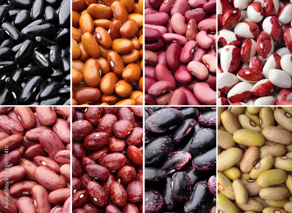 Collage of different types of beans..Varieties of beans.Top view