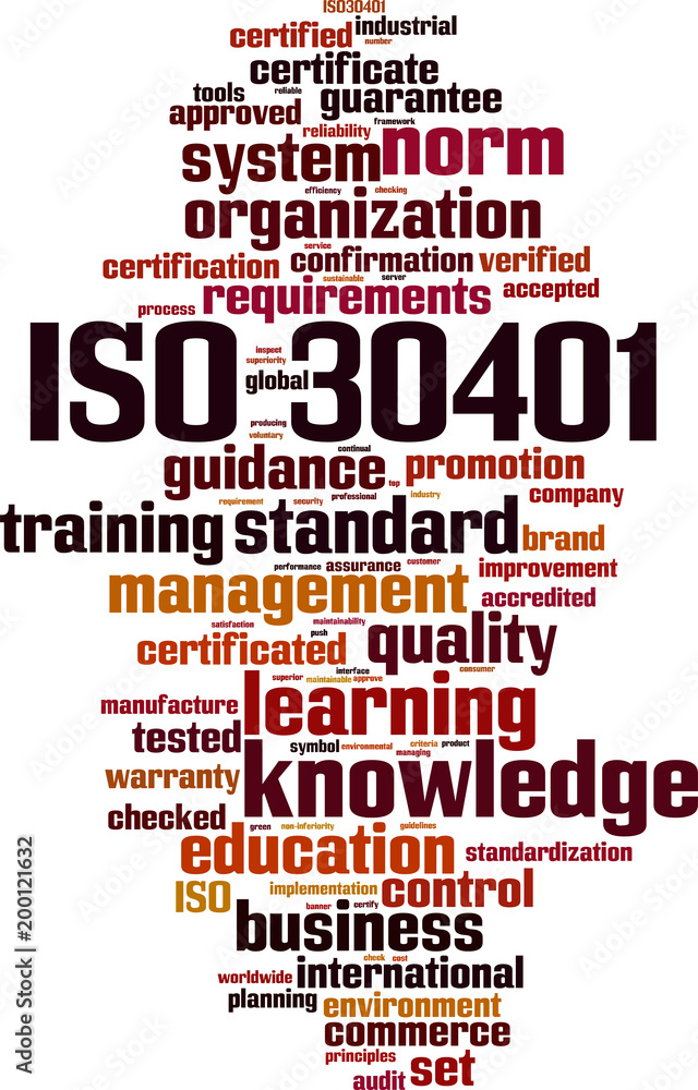 ISO 30401 word cloud