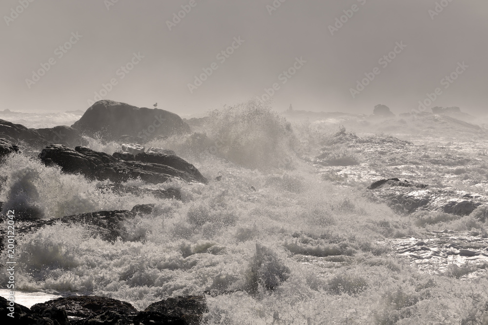 Stormy rocky coast