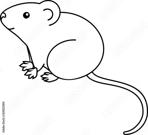 House mouse coloring page