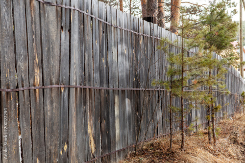 Wooden fence