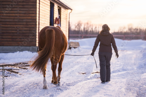 girl and horse